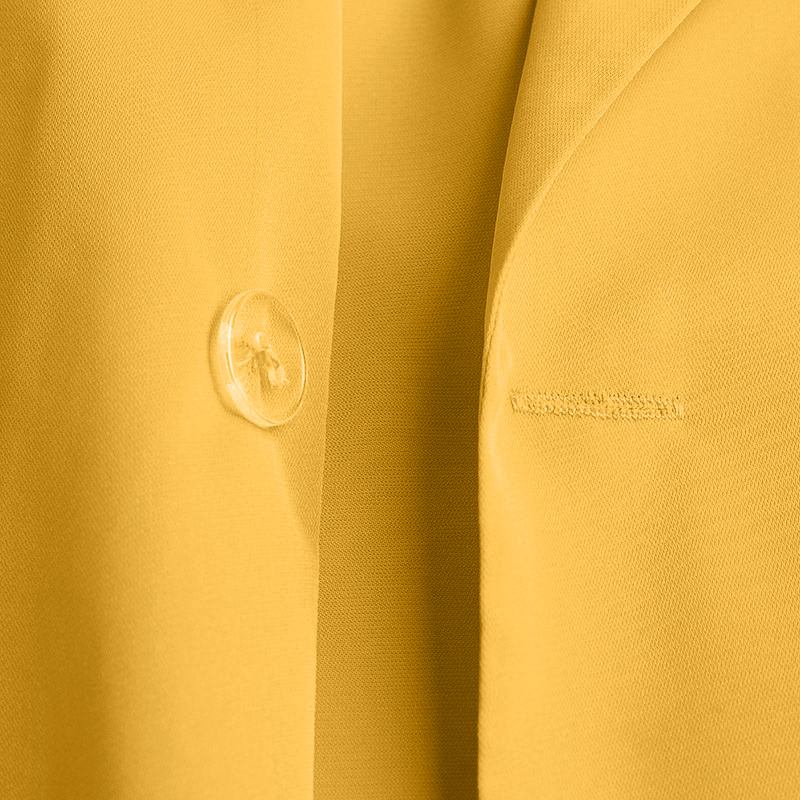 goosudu Fashion Women's Business Suits Autumn OL Long Sleeve Blazer and High Waist Pants  Casual Solid Oversized Sreetwear