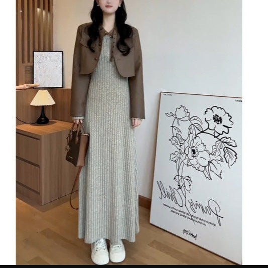 2025 Autumn  slim-fit knitted sweater long-sleeved dress women's clothing popular autumn and winter new small long dress