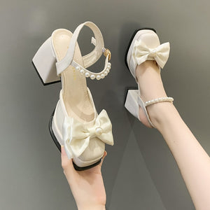 woloong  New Women Fashion High Heels Womens Spring Korean Style Versatile Closed Toe Sandals Mary Jane Chunky Heel Pumps