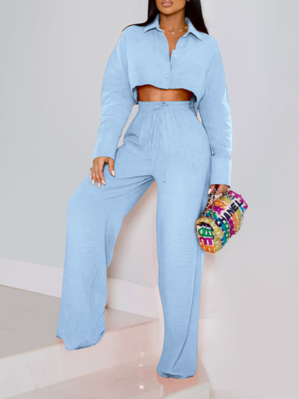 Goosudu Solid Cropped Shirt & Wide-Leg Pants Set