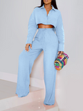 Goosudu Solid Cropped Shirt & Wide-Leg Pants Set