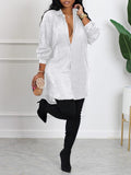 Goosudu Sequin Shirt Dress
