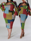 Goosudu Colorblock Dress