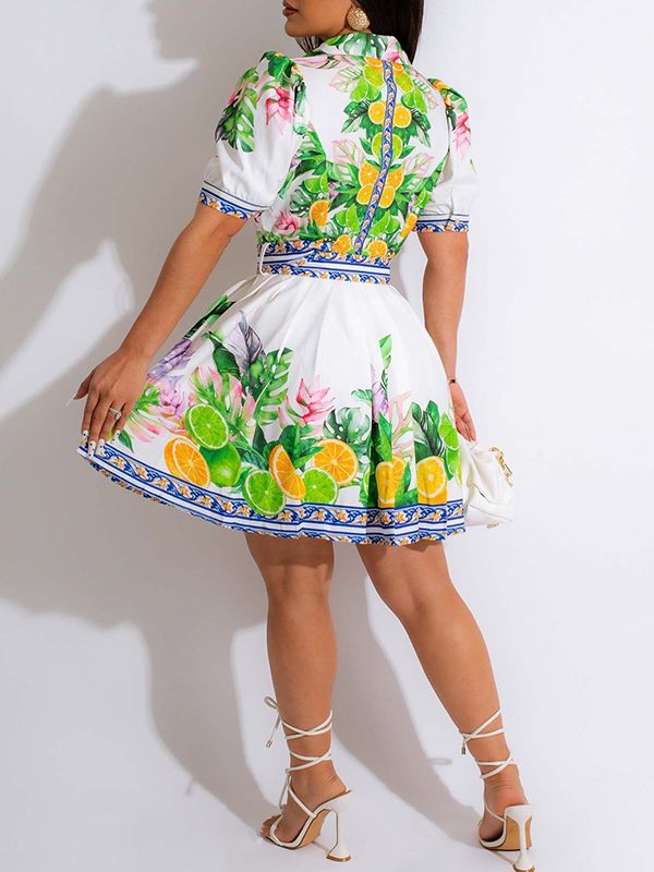 Goosudu Printed Pleated Shirt Dress