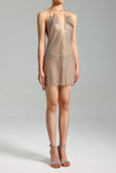 goosudu Dellis Metal Halter V Neck Dress