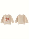 Toddler Baby Boy Girl Thanksgiving Outfits Long Sleeve Turkey Print Crewneck Knit Pullover Sweater Fall Winter Warm Clothes