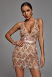 goosudu Louisa Mini Dress - Champagne