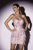 goosudu Lalia Pink Sequin Feather Mini Dress