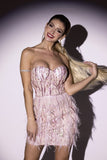 goosudu Lalia Pink Sequin Feather Mini Dress