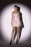 goosudu Lalia Pink Sequin Feather Mini Dress