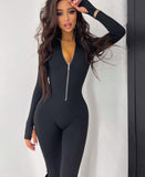 Zipper Neck Solid Long Sleeve Jumpsuit Women Fall Slim Monos Mujer Elegante комбинезон женский Combinaison Femme