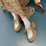 New Fashion Casual Shoes Women Pumps Genuine Leather Footwear Lace Up Gold Silver Punk Square Heel Platform Shoes Women