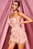 goosudu Lalia Pink Sequin Feather Mini Dress