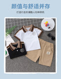 Boys' Summer Short Sleeve Suit 0-5 Years Old Children's Polo Shirt Lapel T-shirt Shorts 2 Pieces Set Foreign Trade Children's Wear Wholesale