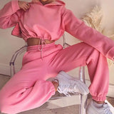 Casual Hooded Sweatshirt Women Suit Spliced Long Sleeve Pullover Female 2 Piece Sets  Elastic Waist Jogging Pants Lady Set