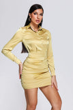 goosudu Tryphosa Satin Shirt Dress