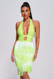 goosudu Daona Halter Tassel Mini Bandage Dress