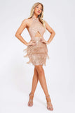 goosudu Elspeth Sequin Tassel Mini Dress