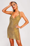 goosudu Colin Metallic Mesh Mini Dress