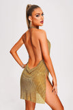 goosudu Colin Metallic Mesh Mini Dress