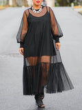 Goosudu Ruffle Sheer Dress with Cami Dress