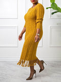 Goosudu Fringe Knit Dress