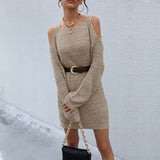 Jenvon Coran Women Autumn Winter Knited Sweater Dresses,  Pullover Tunics, Female Sexy Off The Shoulder Long Sleeve Mini Dress.