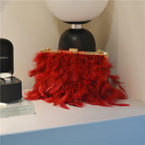 Goosudu Daily Party Patchwork Feathers Chains Pearl Bags