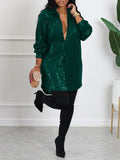 Goosudu Sequin Shirt Dress